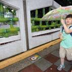 Esta fotografía, del 5 de junio de 2013, muestra a Ryan Kao, un alumno de siete años, caminando hacia su colegio en Taipei, capital de Taiwan.