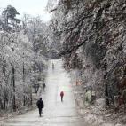 La gente camina entre los árboles helados por las colinas de Buda, en Budapest. Decenas de miles de hogares se quedaron sin electricidad por las heladas.