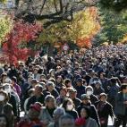 La gente se amontona en un jardín del Palacio Imperial de Tokio abierto temporalmente para celebrar el 80 aniversario del emperador Akihito.