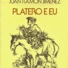 Edición en portugués