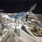 La exhibición ofrece objetos exclusivos, entre ellos, la única piel de triceratops hallada hasta ahora yel esqueleto de un Tiranosaurus Rex.
