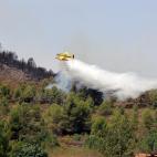 El incendio forestal declarado a &uacute;ltima hora del s&aacute;bado en Azu&eacute;bar (C&oacute;rdoba) que afecta a cerca de 500 hect&aacute;reas de superficie.