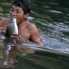 Un hombre de la etnia Naga en Birmania coge un pez con la boca después de haberlo aturdido con explosivos.