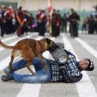 Un agente y un perro policía participan en una demostración de una academia de policía en Bagdad (Irak).