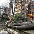 Operarios del Ayuntamiento cortan un árbol caído como consecuencia del viento en una de las principales arterias de entrada a Bilbao.