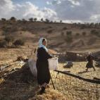 Una mujer beduina de la tribu Al-Qiyaan trabaja en su casa en el poblado beduino de Umm Al-Hiran (Israel).