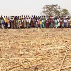 Numerosas mujeres participan en un programa de trabajo dirigido por la ONG francesa Acción contra el Hambre para construir acequias para recoger agua. El pueblo, Palboa, está a 300 km al noreste de Ouagadougou (Burkina Faso). 