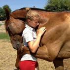 El abrazo de un caballo a su joven amazona. (Image via Imgur)