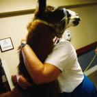 Una enfermera abraza a Pisco, una llama de 13 años, que forma parte de un programa de terapia para ayudar a pacientes enfermos terminales. (Photo by John Moore/Getty Images)