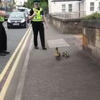 Policías escoltan a una mamá pato y a sus nueve patitos a través de una carretera.
