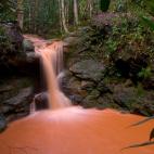 El Parque Nacional de Canaima, en Venezuela, es también uno de las áreas irreemplazables para los expertos. Lo atraviesa el río del mismo nombre, que nace en unos extraños altiplanos llamados tepui.