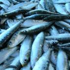 Este ácido graso, presente en grandes cantidades en el pescado azul, tiene un "reconocido efecto antiinflamatorio", explica la nutricionista Concepción Maximiano, de la Asociación de nutricionistas de Madrid.