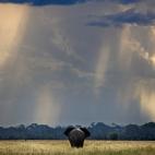 Parque Nacional de Chobe, Botswana