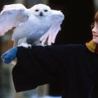 Harry Potter y la piedra filosofal (2001)
