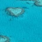 En la Gran Barrera de Coral australiana se encuentra un coral en forma de pequeño corazón. A pesar de lo anecdótico del asunto, miles de turistas sobrevuelan cada año la Gran Barrera en busca de la romántica y preciosa foto del Heart Reef. ...