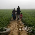 Una familia camina a través de un campo en la frontera entre Grecia y Macedonia cerca de la aldea de Idomeni.
