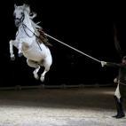 Los jinetes y sus caballos realizan un ensayo en la Escuela Española de Equitación de Viena.