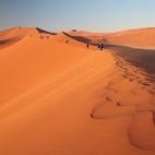 Si quieres cambiar escenario y disfrutar rincones no tan comunes, los viajeros recomiendan este salar en Namibia, en pleno desierto africano. Sobre las imponentes dunas asoma una vegetación que persiste gracias a la humedad de la niebla y a los...