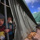 Niños sirios se asoman desde su casa de campaña en un campo de refugiados en el pueblo libanés de Marj, cerca de la frontera con Siria, el lunes 7 de enero de 2013. (Foto AP/Hussein Malla)
