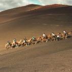 Aunque es apto para todas cualquier edad, a esa en particular resulta realmente divertido. En Parque Nacional de Timanfaya se ofrecen paseos a lomos de camellos, una de las actividades más peculiares y divertidas de la isla. Además, al ser de ...