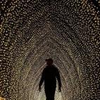 Un hombre camina por la 'Catedral de la Luz' en los Jardines Botánicos Reales el 25 de mayo en Sídney (Australia).