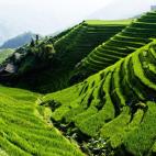 El continente asiático nos regala paisajes exóticos que son auténticos escenarios de película. Este rincón es uno de los más simbólicos de su cultura además de uno de los más peculiares, ya que las plantaciones de arroz crean formas nat...