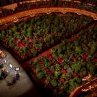 Concierto para plantas en el Gran Teatre del Liceu de Barcelona, Spain, el 22 de junio.&nbsp;
