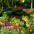 En la ciudad holandesa de Lisse se encuentra este cuadro de Manet hecho realidad. Los colores que existen en el jard&iacute;n son incalculables y las especies de flores superan la centena. La vegetaci&oacute;n de este m&aacute;gico lugar se encu...