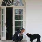 Obama pets his dog Bo outside the Oval Office of the White House on March 15, 2012, in Washington, D.C.