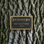 El entonces vicepresidente Joe Biden sorprendió a su esposa en el San Valentín de 2010 con esta placa conmemorativa.