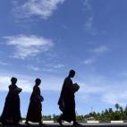 Monjes budistas de Sri Lanka caminan por la carretera en Piliyandala, un suburbio de Colombo.