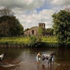 Viajeros lavan sus caballos en el río Eden en Appleby, Inglaterra. Forman parte de la feria anual de caballos que se lleva celebrando desde el año 1600.