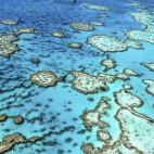 La Gran Barrera de Coral es una de las siete maravillas del mundo. The Washington Post explica que varios científicos de renombre aseguran que podría sufrir "daños irreparables es las próximas décadas a causa de traumas causados tanto por ...