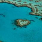 Heart Reef es una visita obligatoria para los amantes del buceo, el esnórquel y el mundo submarino. Porque pocas veces la naturaleza regala un espectáculo tan impresionante como la Gran Barrera de Coral. Uno de los arrecifes que la conforman, ...