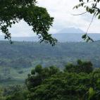 El Parque nacional Virunga, en la República Democrática del Congo, alberga algunos de los últimos gorilas de las montañas, así como varios volcanes en actividad.
