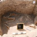 Restos humanos hallados por los arqueólogos.