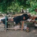 Un hombre durmiendo a la sombra en Balana, cerca de Kom Ombo. Las temperaturas alcanzan los 45ºC en verano. Es imposible que lo vendedores ambulantes permanezcan de pie bajo el sol durante largos periodos de tiempo. Por lo general, dejan sus bi...