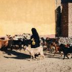 Una anciana nubia de la isla Seheil está moviendo sus cabras para dejar espacio a los invitados que vienen a la boda que se celebrará en la isla.
