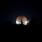 Una novia posa para una foto durante un eclipse lunar total en Brasilia, Brasil.