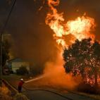 Un bombero lucha contra el fuego cerca del municipio de Pucarica, en Abrantes.