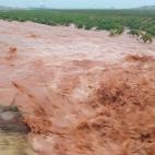 Las fuertes precipitaciones registradas en las &uacute;ltimas horas han provocado inundaciones en zonas de cultivo de varias localidades extreme&ntilde;as, entre ellas Almendralejo.