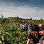 Después de recorrer cientos de kilómetros, miles de refugiados, en su mayoría sirios, intentan desesperadamente cruzar la frontera entre Serbia y Hungría por el paso de Röszke-Horgoš. La Policía fronteriza húngara se lo impediría con un...