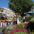El olor de las flores y su colorido son las protagonistas de La Plaza Tirso de Molina.