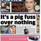 El rotativo escocés Metro realiza un juego de palabras con la expresión "big fuss" (gran alboroto) en el titular "It's a pig fuss over nothing" ("Es un cerdo alboroto por nada").