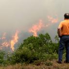 Un hombre contempla el estado de las llamas en los bosques de Pedrogao Grande el domingo.