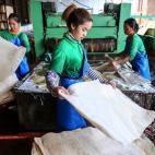Trabajadoras manejan hojas de caucho a medida que pasan a través de una lavadora de láminas en la fábrica tailandesa de Hua Rubber PCL en Samnuktong, provincia de Rayong, en Tailandia, el miércoles 29 de enero de 2014. (Dario Pignatelli/Bloo...