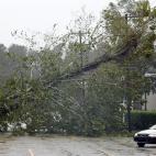 A motorist navigates away from a fallen tree blocking a road after the arrival of Hurricane Florence in Wilmington, North Carolina, U.S., September 14, 2018. REUTERS/Jonathan Drake
