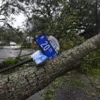 Dozens of downed trees block Market Street in the Historic District of Wilmington, N.C. as Hurricane Florence made landfall Friday Sept. 14, 2018. (Chuck Liddy/The News & Observer/TNS via Getty Images)