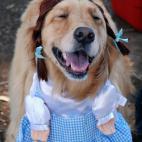 El personaje de Dorothy nunca fue más adorable.
