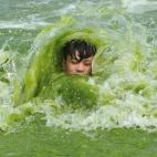 Las aguas de la playa de Wingdao se encuentran llenas de algas hasta el punto de teñirlas de verde, en ellas se baña este niño en Shangong, China.